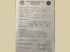 Patellar luxation certificate