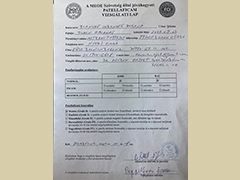 Patellar luxation certificate